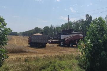 Минсельхоз РФ оценил экспорт зерна в минувшем сезоне в 49 млн тонн